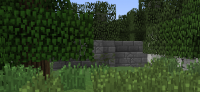 Découvrez la map Level
